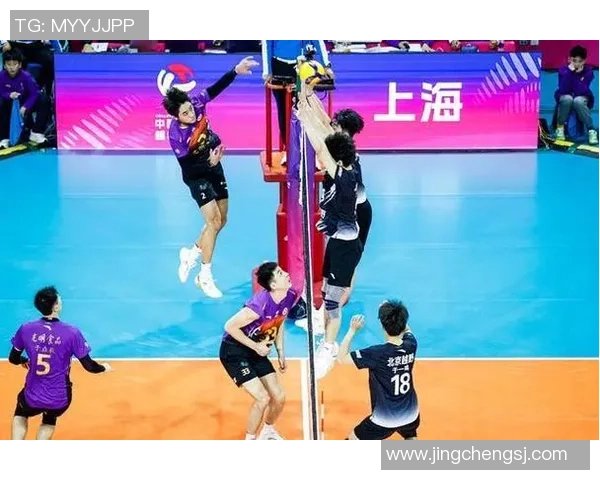 上海排球队逆袭之路揭秘精英赛中的奋斗与荣耀展现
